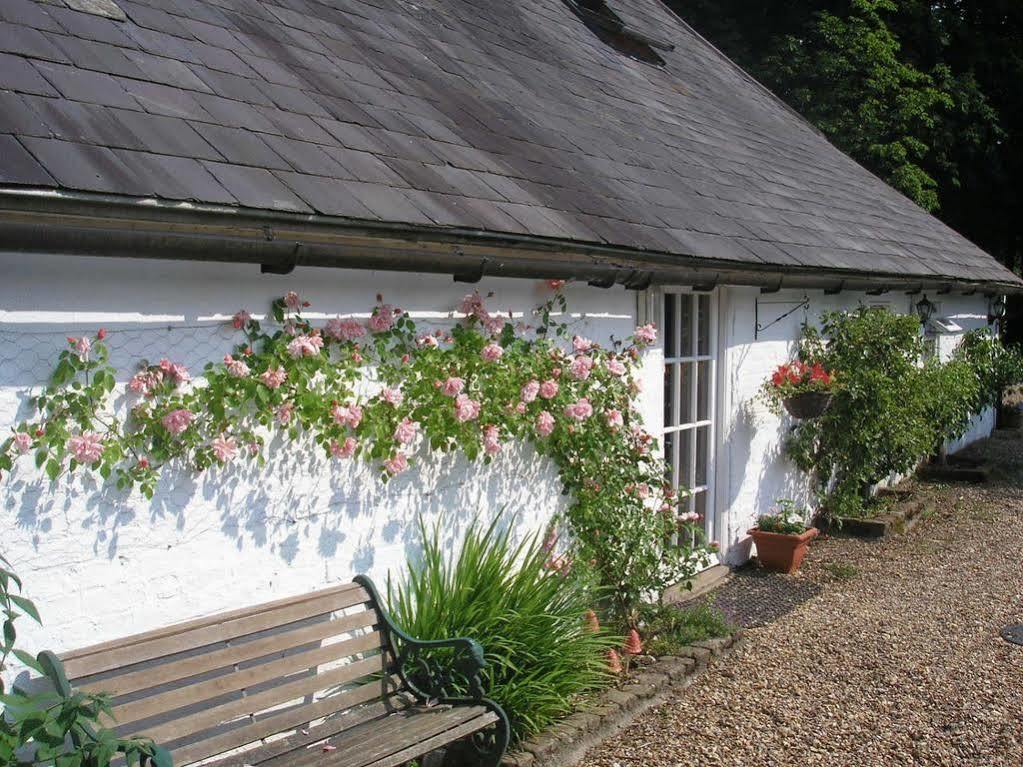 Detling Coachhouse Bed & Breakfast Maidstone Ngoại thất bức ảnh
